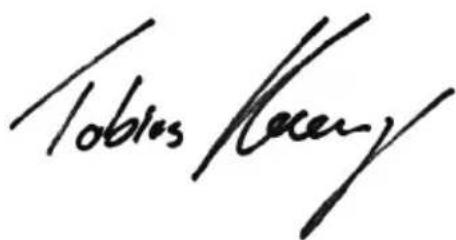 ULTIMATE SPEED HG01040 - Translation of the original Conformity Declaration - 1