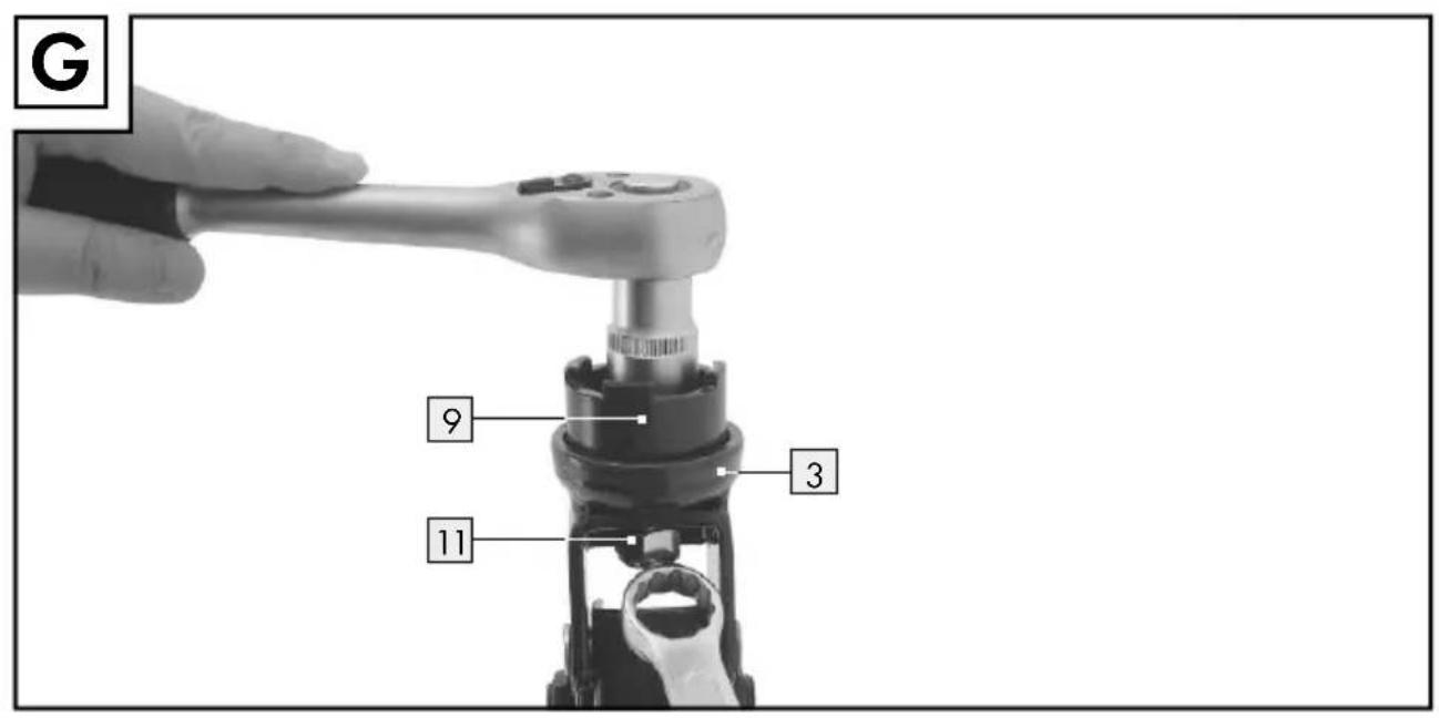 ULTIMATE SPEED HG03172 - Angewandte harmonisierte Normen: - 3
