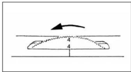 Victoria FY700 - Points pour boutonnière: - 2