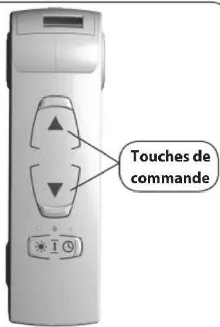 Superrollo GW60 - REMARQUE - 1