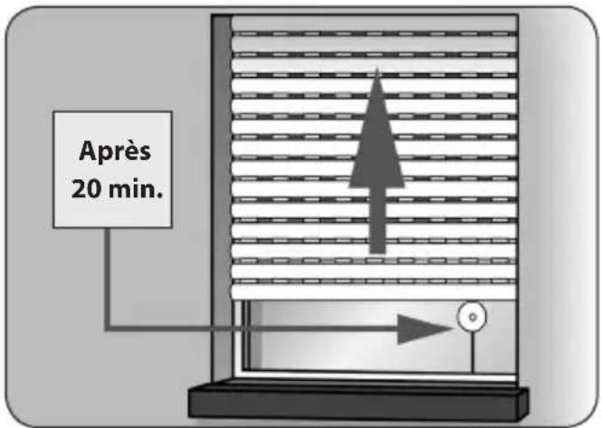 Superrollo GW60 - REMARQUE - 1