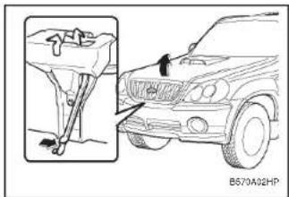 HYUNDAI Terracan (2003) - CARACTÉRISTIQUES DE VOTRE HYUNDAI - 2
