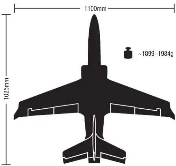 E-flite Viper - Précautions et avertissements liés à la sécurité - 1
