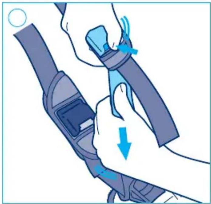 Giordani Voyager XL - I CONTINUO - 25