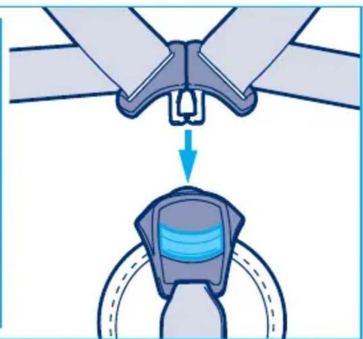 Giordani Voyager XL - I CONTINUO - 21