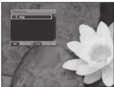 SAMSUNG DCBP850S - Remarque: si vous appuyez sur la touche JAUNE (TEXT) - 2