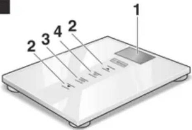 BOSCH AxxenceSlimLine Analysis PPW3320 - 1