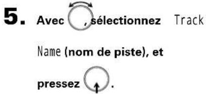 ZOOM F8n - Sélection d'un nom de piste dans l'historique - 1