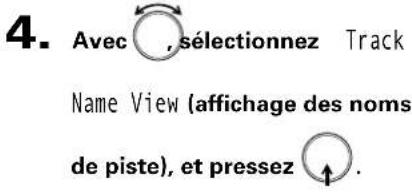 ZOOM F8n - Affichage des noms de piste sur les indicateurs de niveau - 1