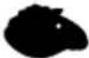 BABYMOOV NutriBaby A001114 - NutriBaby - 87