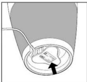 Vice Versa Tix 16621 - Die Früchte auspressen - 2