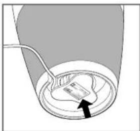 Vice Versa Tix 16621 - Spremere I frutti - 1