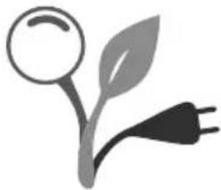 WMF Kuchenminis My Egg - Anvendelse - 1