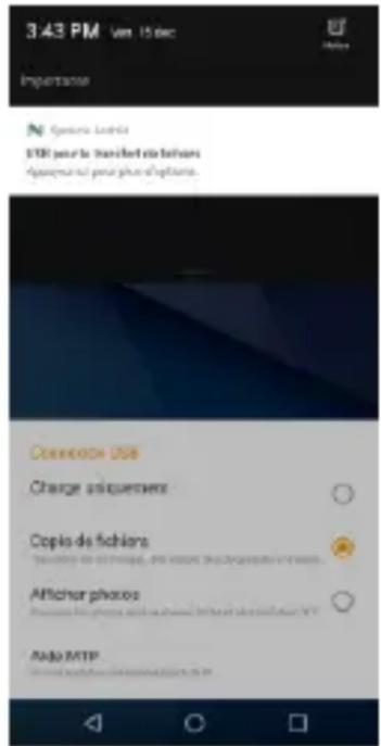 BLU Vivo X - Ouvrir Stockage - 1