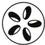 Patton Kamado - Cuisson lente / fumaison (110 °c - 135 °c) évent supérieur évent inférieur - 1