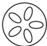 Patton Kamado - Saisir (260^ - 370^) event supérieur event inférieur - 1