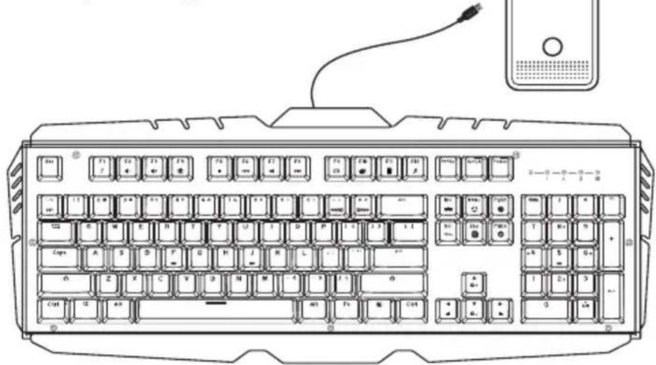 IOGEAR GKB720RGBBN - Installation du Matériel - 1