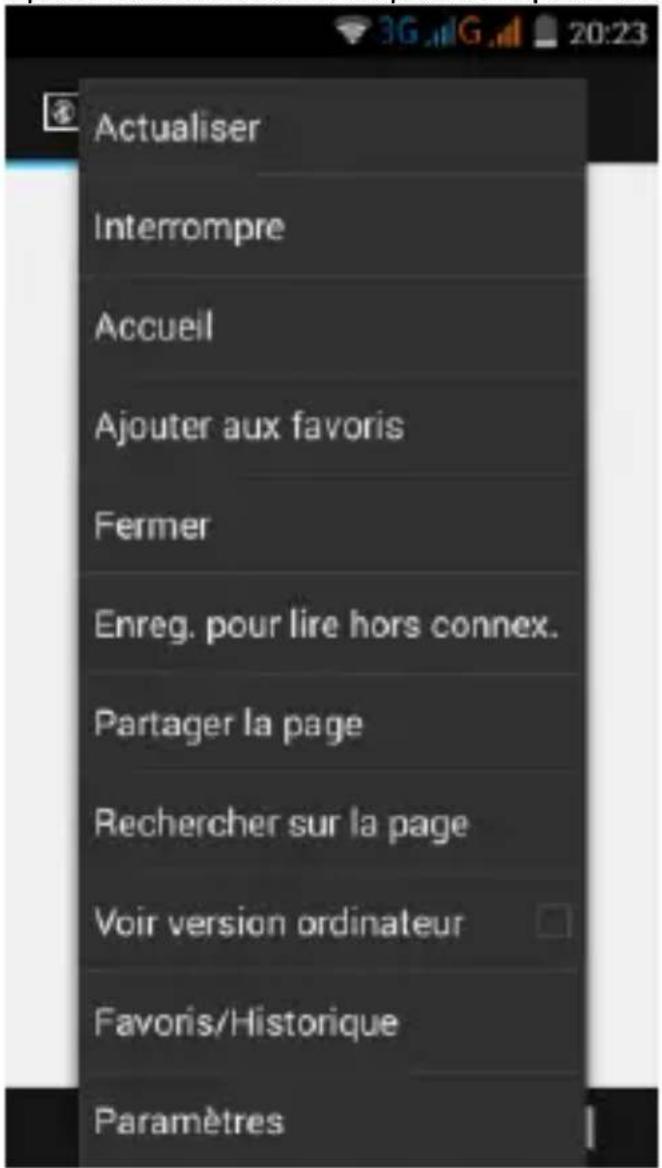 HAIER G31S - Navigaon sur les pages web - 4