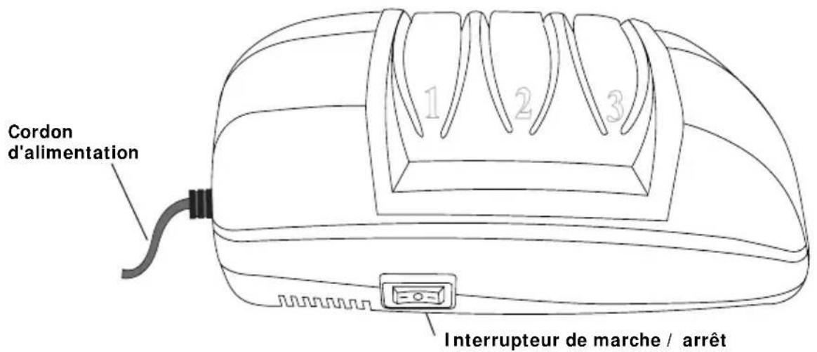 BUFFALO G310 - Conseils d'utilisation - 1