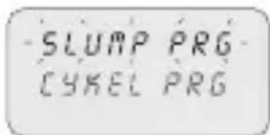 ABB D1 Plus 24 - 2-4 Verifiera ett program - 1