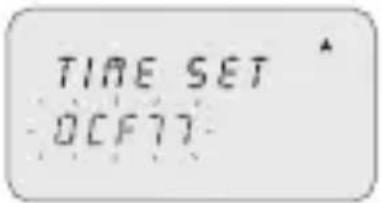 ABB D1 Plus 24 - Time Zone DCF77 (only GPS and DCF77 models) - 1