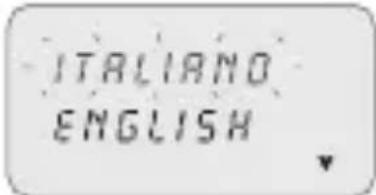 ABB D1 Plus 24 - 3-8-1 Languages - 2