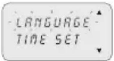 ABB D1 Plus 110 - 3-8-1 Languages - 1