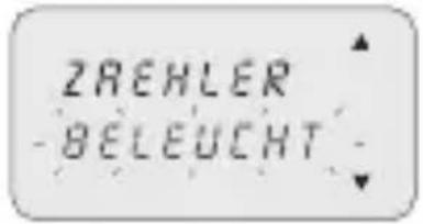 ABB D1 Plus 110 - 3-8-6 Beleuchtung - 1