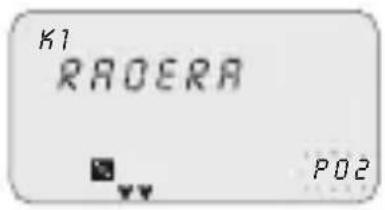 ABB D1 Plus 110 - 2-6 Radera ett program (snabbmetod) - 2