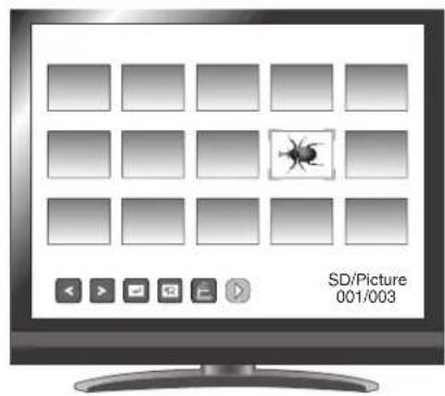 Elmo P10HD - Fonctions de base - 6