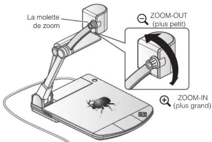 Elmo P10HD - flage de la taille - 1