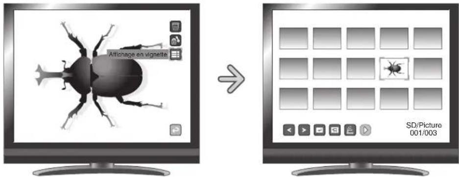 Elmo P10HD - Fonctions de base - 12