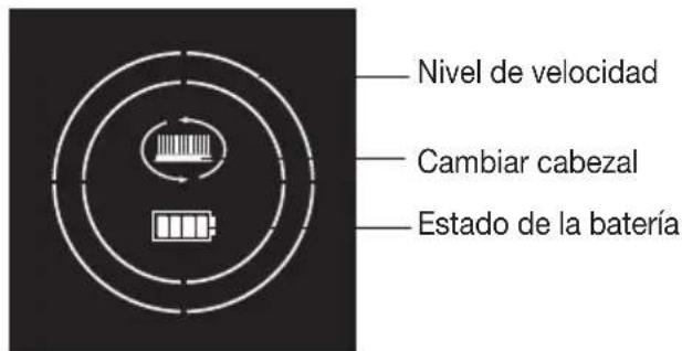 BEURER FC 96 - Descripción del aparato - 2