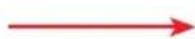 de Buyer Viper - - Scelta degli accessori - 2