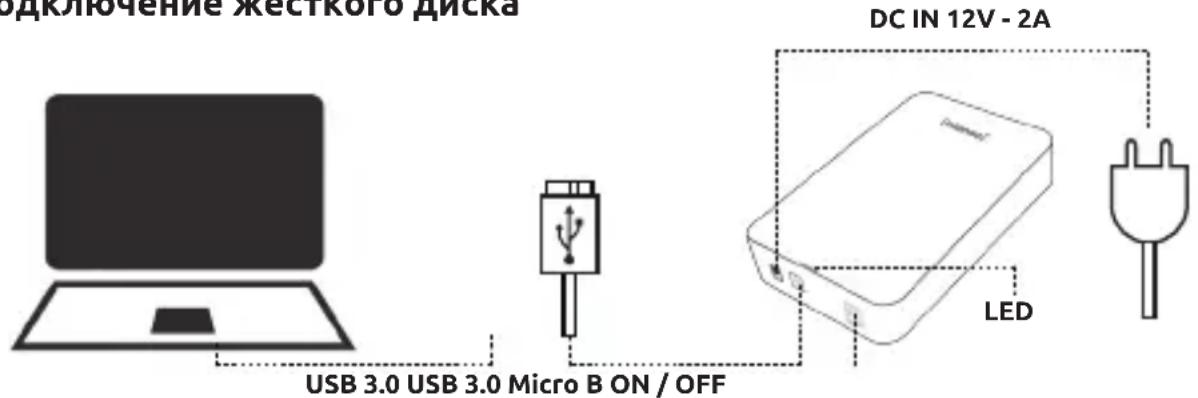 INTENSO 3.5 Memory Center - ПоdkлоченkeТКОТДСКА - 1