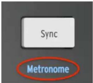 Arturia MiniBrute 2S - Métronome (Shift + Sync) - 1