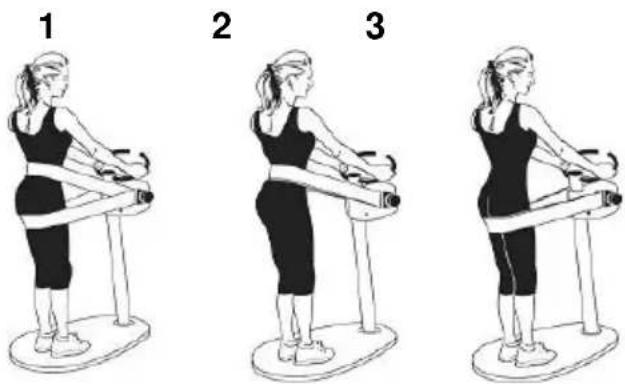 BH FITNESS Tactile Tonic G225 - EXERCISES FOR EACH PART OF THE BODY. - 1