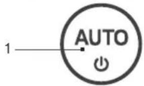 AUTO 1