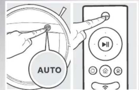 AUTO