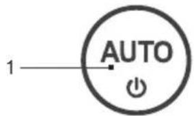 AUTO 1
