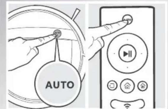 AUTO