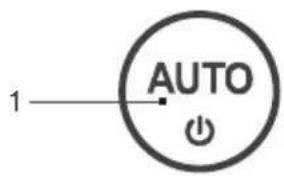 AUTO 1