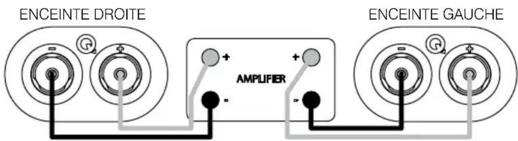 Q-ACOUSTICS 3090Ci - Connexions standard - 1