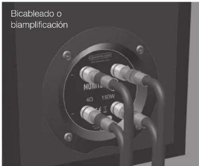 MONITOR AUDIO C150 - Configuración del cableado - 3