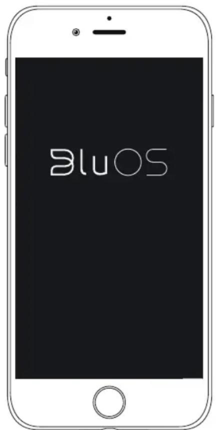 Bluesound Pulse Sub - CONNECT TO PLAYER - 1