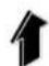 BOSCH UniversalHedgePole 18 - | Português - 2