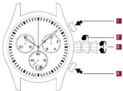ALPINA Seastrong Horological - AL 372 - 1