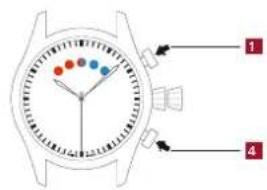 ALPINA Seastrong Horological - 卡リル AL-880 才一卜マチク 力ウトダウ - 2