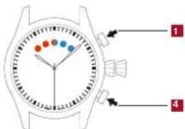 ALPINA Seastrong Horological - 外元三 - 1