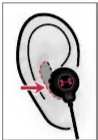 JBL Sport Wireless - 10